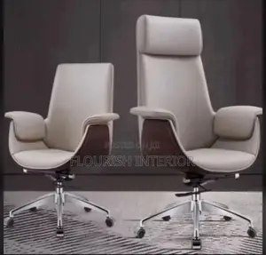 Standard Luxury Executive Office Chair