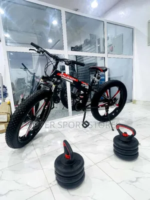 Fat Tyre Foldable Bike