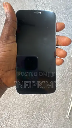 iPhone 12 Screen