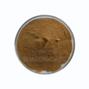 Shilajit Powder 100g