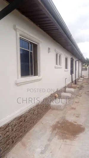 Professional Wall Screeding