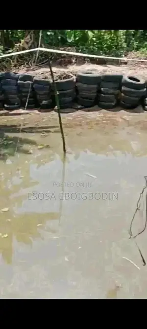 Fish Pond Earth Pond For Fish Farming For Rent Or Lease.