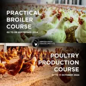 Comprehensive Training On Poultry Farming (A-z)