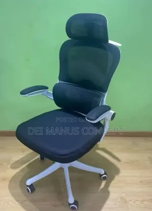 Ergonomic Office Chair With Adjustable Hand