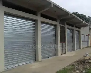 Automated Industrial Roller Shutter Security Door