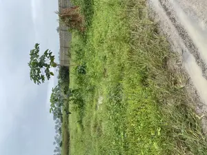 A Full Plot of Land for Sale at Eneka in an Estate