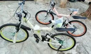 Adult Bicycle
