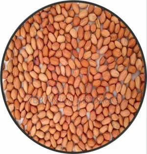 Well Fried Groundnut