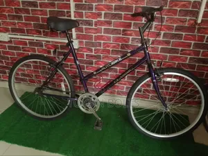Adult Bicycle Size 26 Autobike Classic