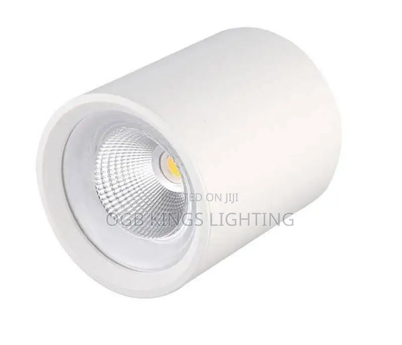 Surface Mounted Cob Ceiling Downlights Anti-Glare Easy Install Spot
