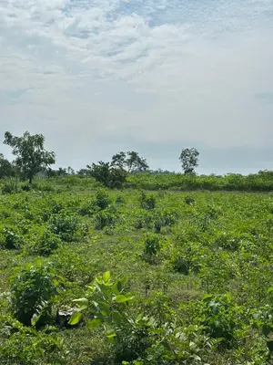 500 Acres of Land for Sale in a Very Good Location at Odeda