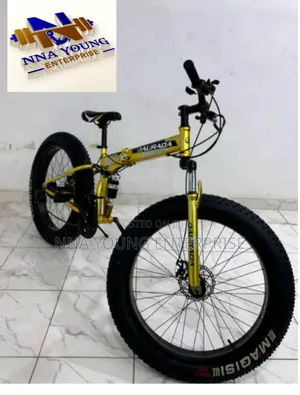 Gold Color Fat Tyre Foldable Bicycle
