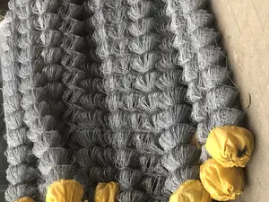 Chain Link Mesh 10meter X 6feet