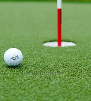 Artificial Grass Golf Field