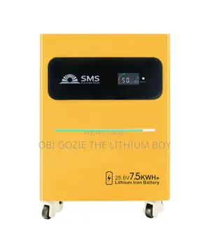 Best SMS Importer. 7.5kwh 51.2v SMS Lithium Ion Battery Available