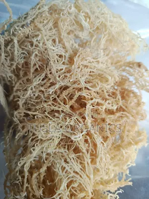 Irish Seamoss 100g