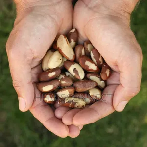 Organic Brazil Nuts - 100g