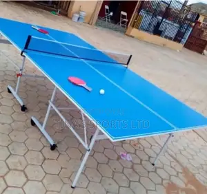 Indoor Table Tennis Board