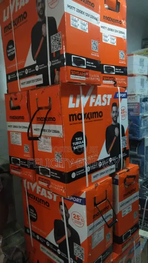 Liv Fast Tubular Battery 230//12v