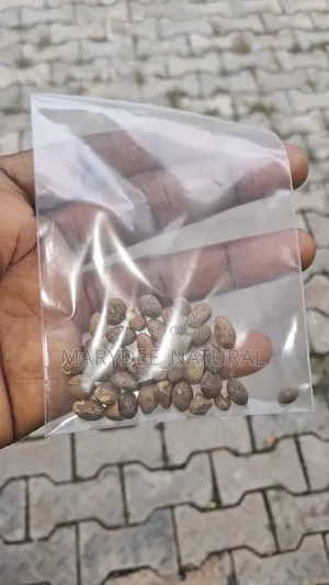 Miracle Seeds