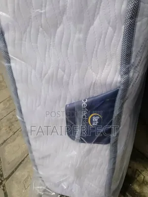 Canadian Serta Perfect Sleeper Mattress