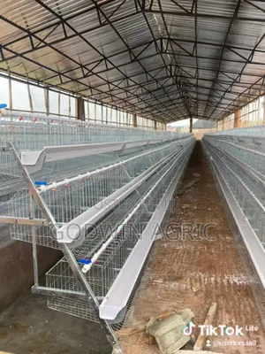 Galvanized Battery Bird Cage