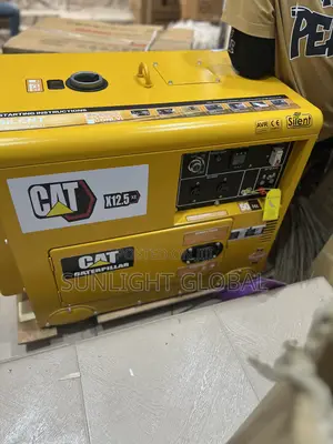 Cat Soundproof Gen 10kva