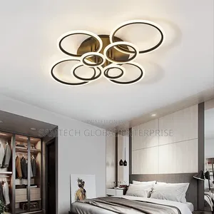 Modern Ceiling Light