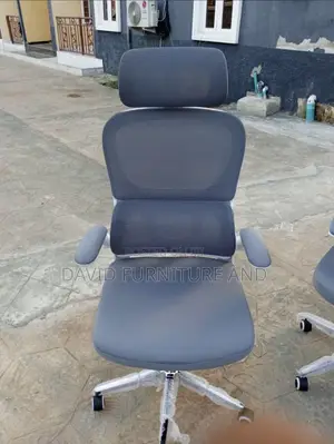 Exquisite Ergonomic Chair