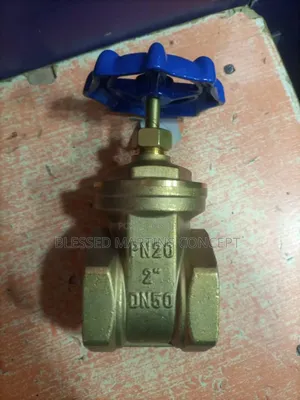 1" Industrial Quality Brass Gate Valve