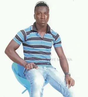 Mr Elvis Oritsesholaye Meruya