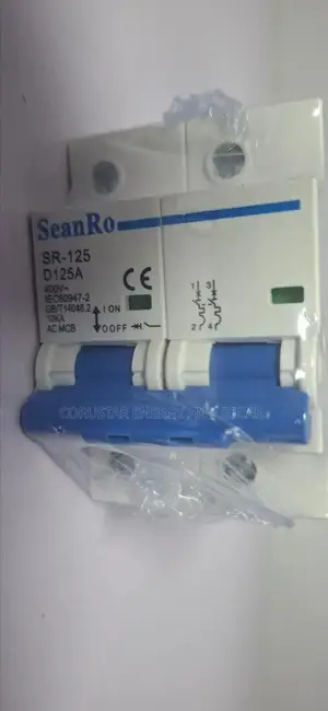 125a MCB 2pole Ac Breaker (Seanro)