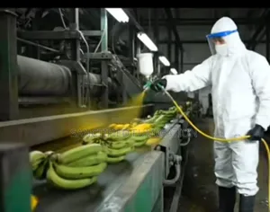 Food Processing Factory Fumigation