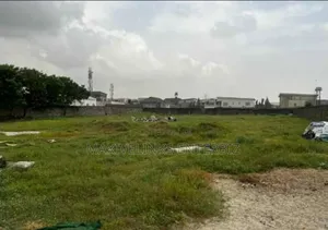 Certificate of Occupancy