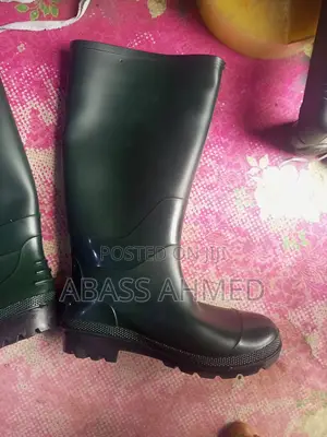 Rainboot Shoe