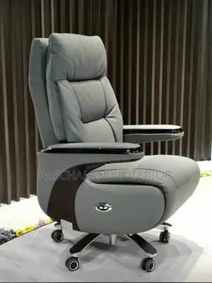 Executive Adjustable and Comfortable Office Chair