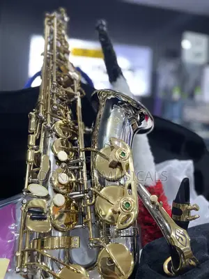 Henri Selmer Paris Gold/Silver Alto Saxophone
