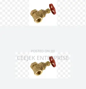 Original 1" Gate Valve
