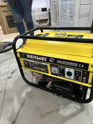 Senwei 4.5kva Key Starter Long Coil Generator- Sv6200e2 Quality