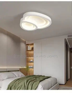Led Ceiling Light