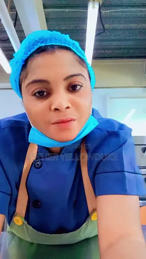 Kitchen Assistant