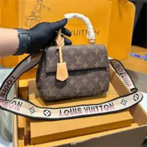 Louis Vuitton Ladies Bag