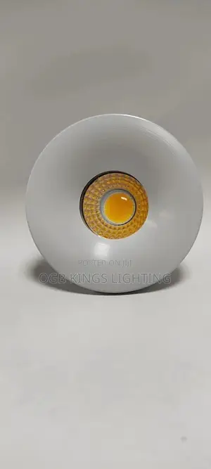 Small Recessed Ceiling Led Spot Light Cob 3w 110v 220v Driver