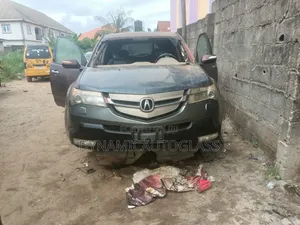 Acura MDX 2009 Model Windscreen