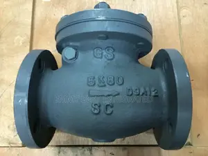 Flanged Cast Iron Swing Check Valve.