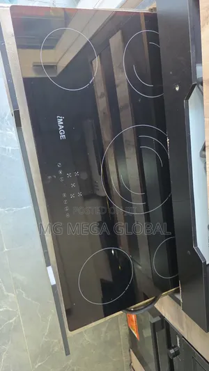 Image 5 Electric Burners Built In