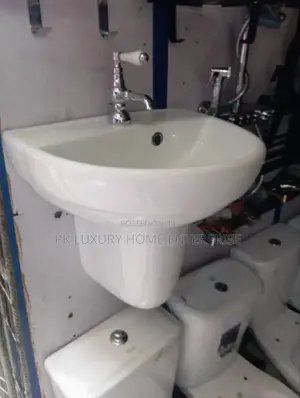 Wall Hang Basin and Pedestal