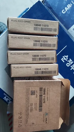 Spark Plugs for Hyundai Kia.