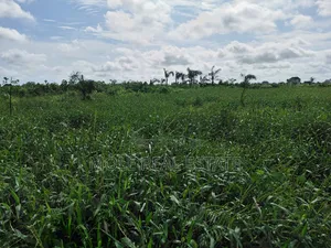 30ft by 120ft ( Half Plot ) Baptist Bustop Ijegemo New Expressway
