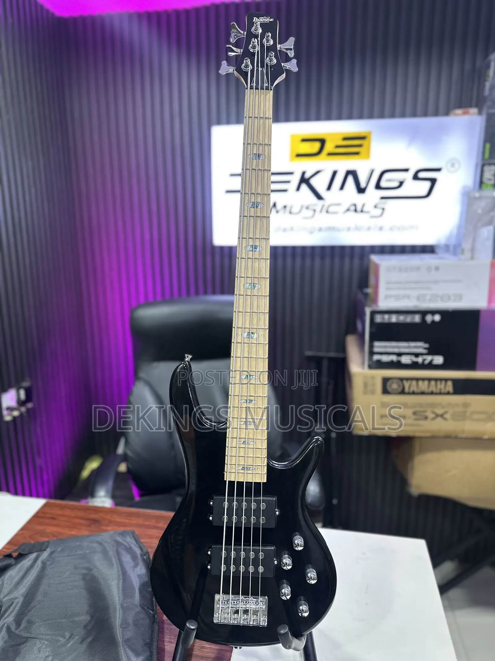 Ibanez 5 String Bass Passive Guitar
